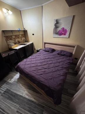 LC Apartments Elena Doamna